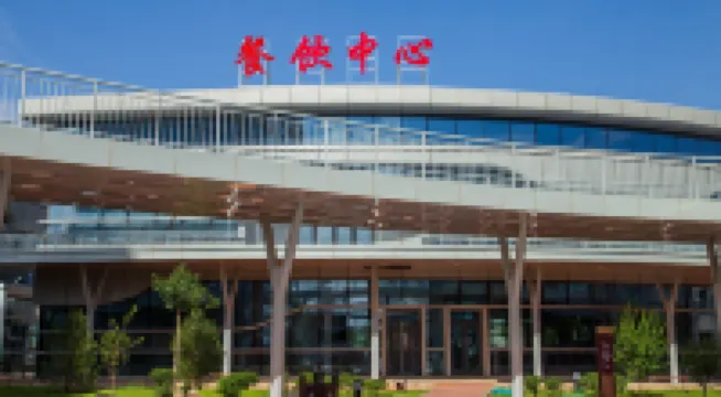 RosyLinJing