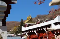 繁星藏塢莊園民宿 - 山景
