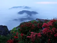 Zhouning Xianfeng Xiaoju Resort Hotel Hotels in Zhouning