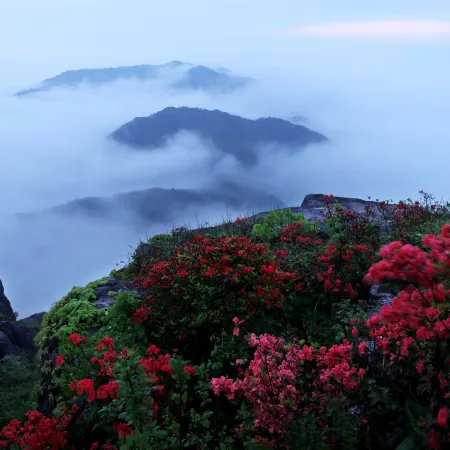 Zhouning Xianfeng Xiaoju Resort Hotel