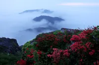 Zhouning Xianfeng Xiaoju Resort Hotel