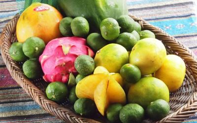 その他 ホテルリゾネックス名護の写真