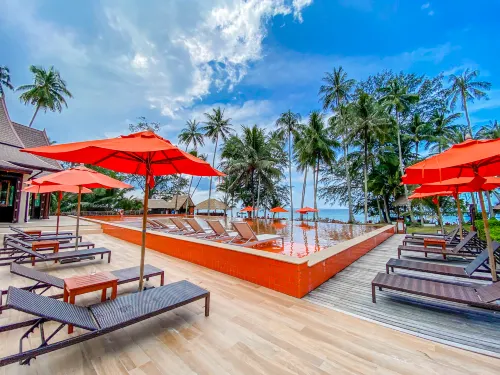 Koh Kood Paradise Beach - Bar
