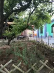 Zhongwei Tongjia Impression Homestay