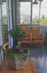 Courtyard NO. 7,Wanfenglin - Mountain View