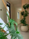 Yuangi Homestay in Jiuhua Mountain Scenic Area
