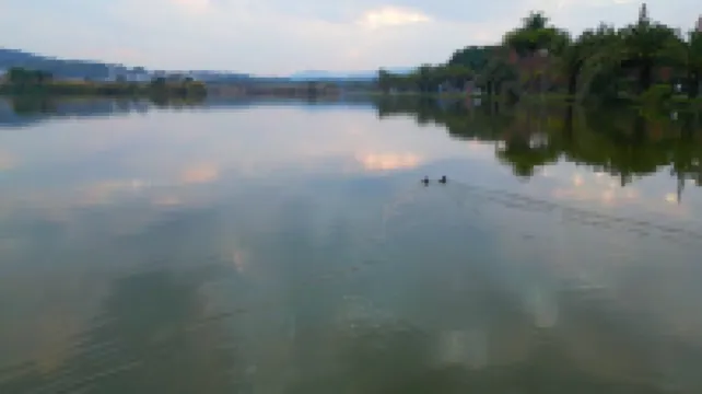 Mile Qingshui Yunshe Hot Springs Homestay