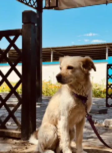 Karamay Dukucho Station