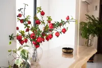 Chuhe Homestay (Yalu River Broken Bridge Branch)
