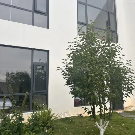 Shiguang Caizhu Homestay