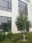 Shiguang Caizhu Homestay
