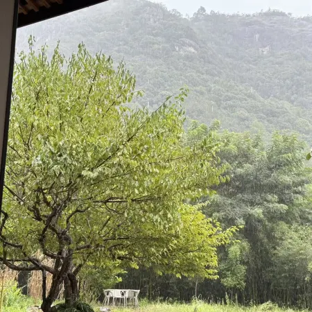 Longquan Fanruo Mountain Residence Homestay