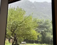 Longquan Fanruo Mountain Residence Homestay - Mountain View