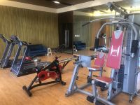 林芝鲁朗珠江国际酒店 - 健身娱乐设施
