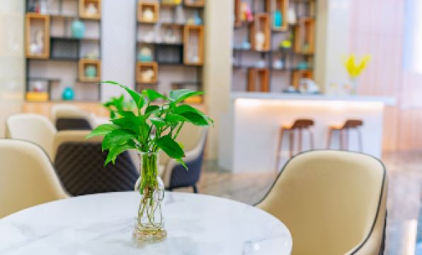 Changfeng Future Apartment Hotel