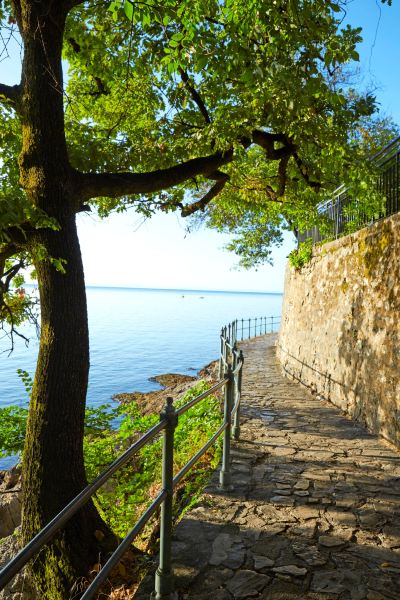 ホテル周辺 ブリストル ホテル オパティアの写真