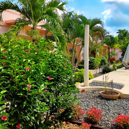 Imagine-Bohol