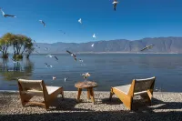 阿凱緹婭·安止櫻落 - 海景