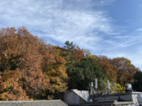 Floral Hotel · Taishan Oak Wei Hotel (Hongmen Mountain Entrance ）