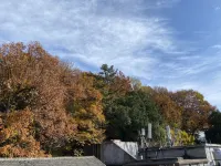 Floral Hotel · Taishan Oak Wei Hotel (Hongmen Mountain Entrance ）