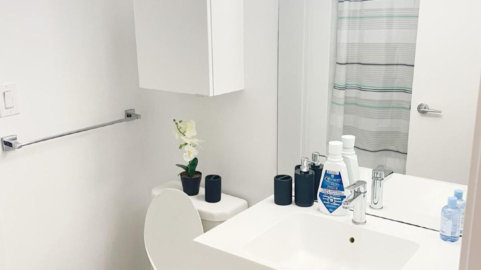 Luxury Lakeview Apartments