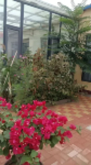 Xiangju Family in Alxa Left Banner