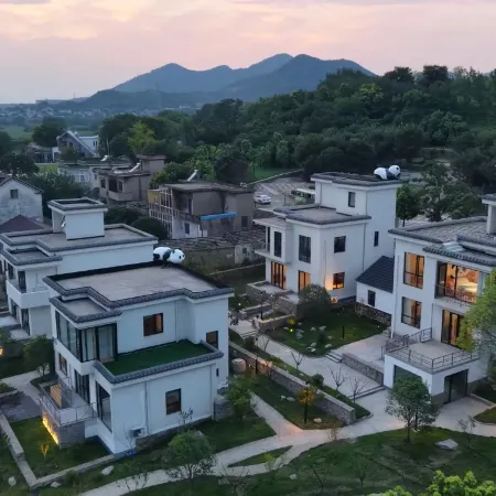 The Story of the Courtyard