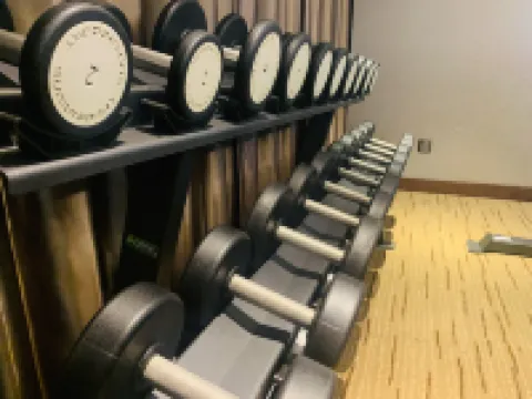 瀋陽亞世麗致飯店