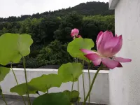 Banshanwu Inn Hotels in Shihu Lake/Shangfang Mountain Scenic Spot/International Education Zone