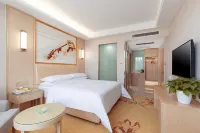 Vienna Hotel(Toksun Store)