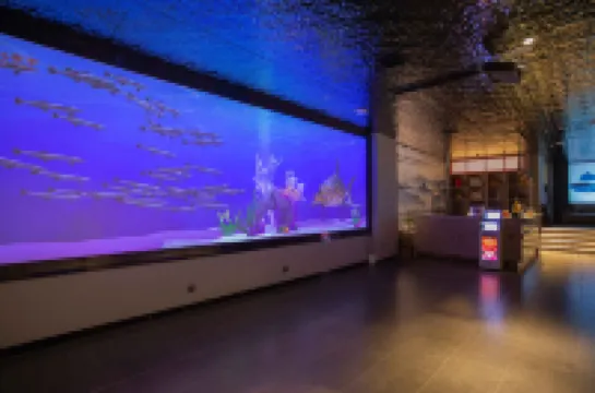 蒼南上江酒店(動車站店) 蒼南酒店