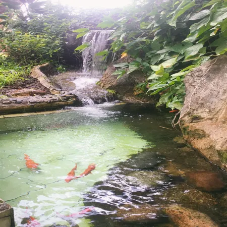 Wandu Hotel