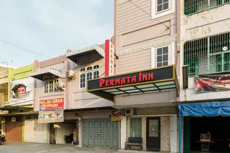 Permata Inn Отели в г. West Medan