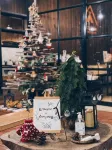 Campiness Camping & Farmsook Hotels in Mae Wang