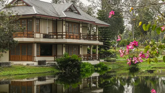 酸漿盆景村