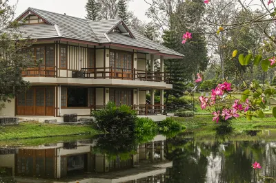 酸漿盆景村