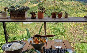 Midori Coffee Farm