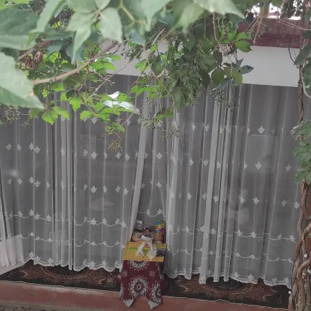 Kuqa Xiyu Homestay