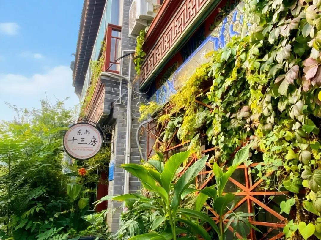 Dongdu 13th Room - Luoyang