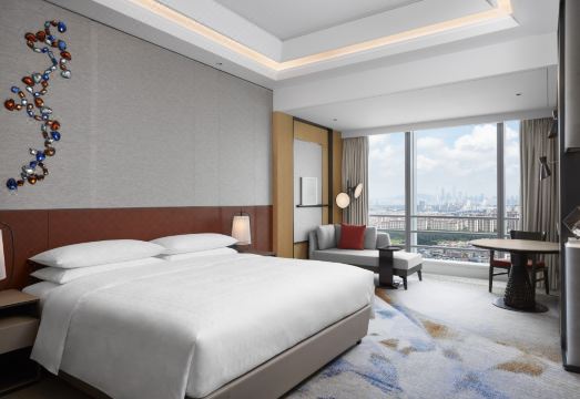 Dynamic Court Over view