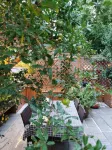 YiZhiJian homestay - Виллы