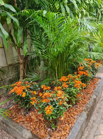 รูปภาพของโมเมนโต้ บางเทา บีช