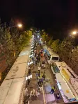 望山中国式旅館｜COURTYARD•WEBSTAR杉居ホテル（長白山北区） - ペット同伴可
