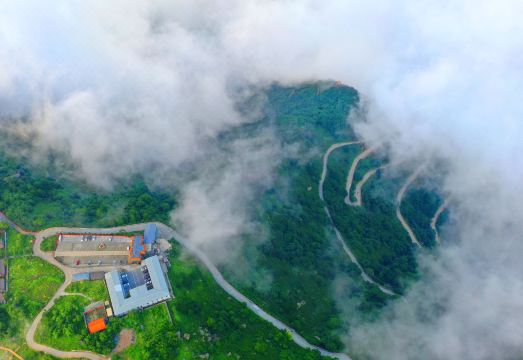 1. 베이징 반인 싱..