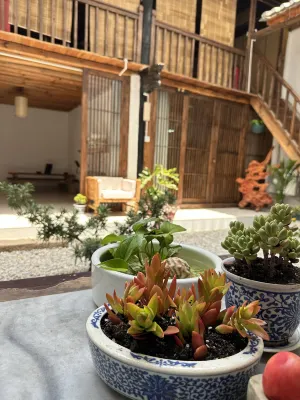 Weishan Shangzhi Homestay Hotels in WeiShan Ancient City