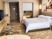 维也纳国际酒店(安义博览中心店) - 标准大床房