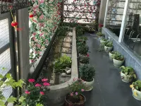 YUN SHANG LUOLUO Hotel(Wenzhou Liushi) Hotels in Yueqing