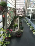 YUN SHANG LUOLUO Hotel(Wenzhou Liushi) Hotels near Bailianchan Temple