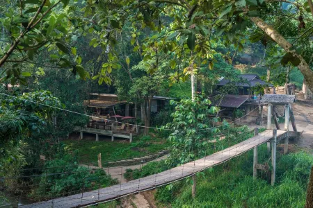 Chai Lai Orchid