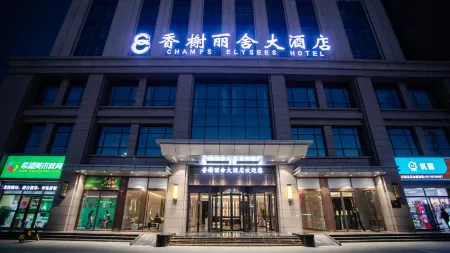 Qingyang Champs Elysees Hotel Отели в г. Цинян